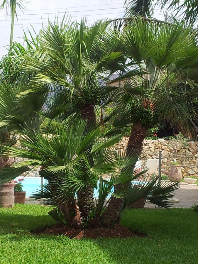 Villa Manzella Piscina Privata Cinisi Exterior foto